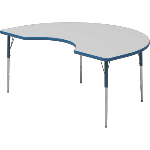 Kidney Activity Table Galaxy